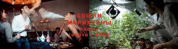 ECSTASY Остров