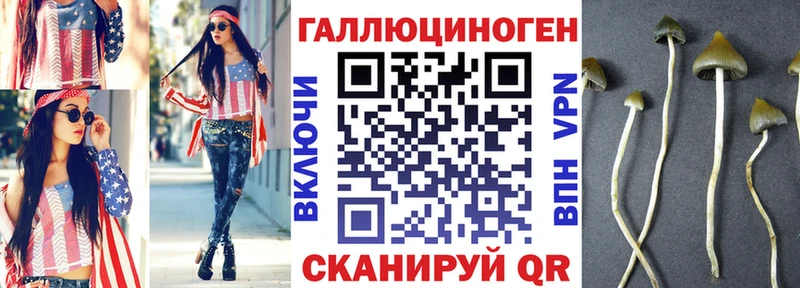 KRAKEN как войти  Снежногорск  Галлюциногенные грибы мицелий 
