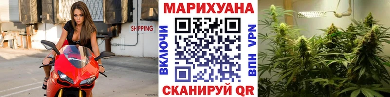 mega маркетплейс  купить закладку  Снежногорск  Каннабис индика 